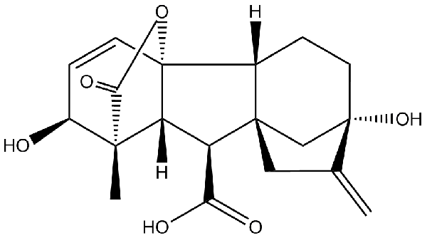 赤霉素GIBBERELLIC ACID，居然有這么神奇？